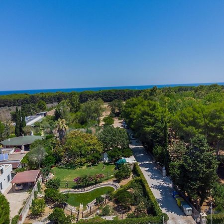 אלימיני Bio Agriturismo Salos מראה חיצוני תמונה