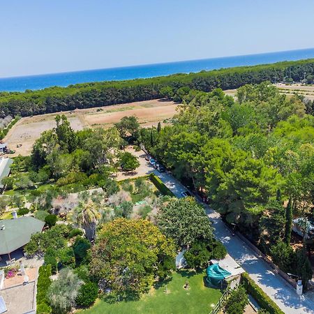 אלימיני Bio Agriturismo Salos מראה חיצוני תמונה