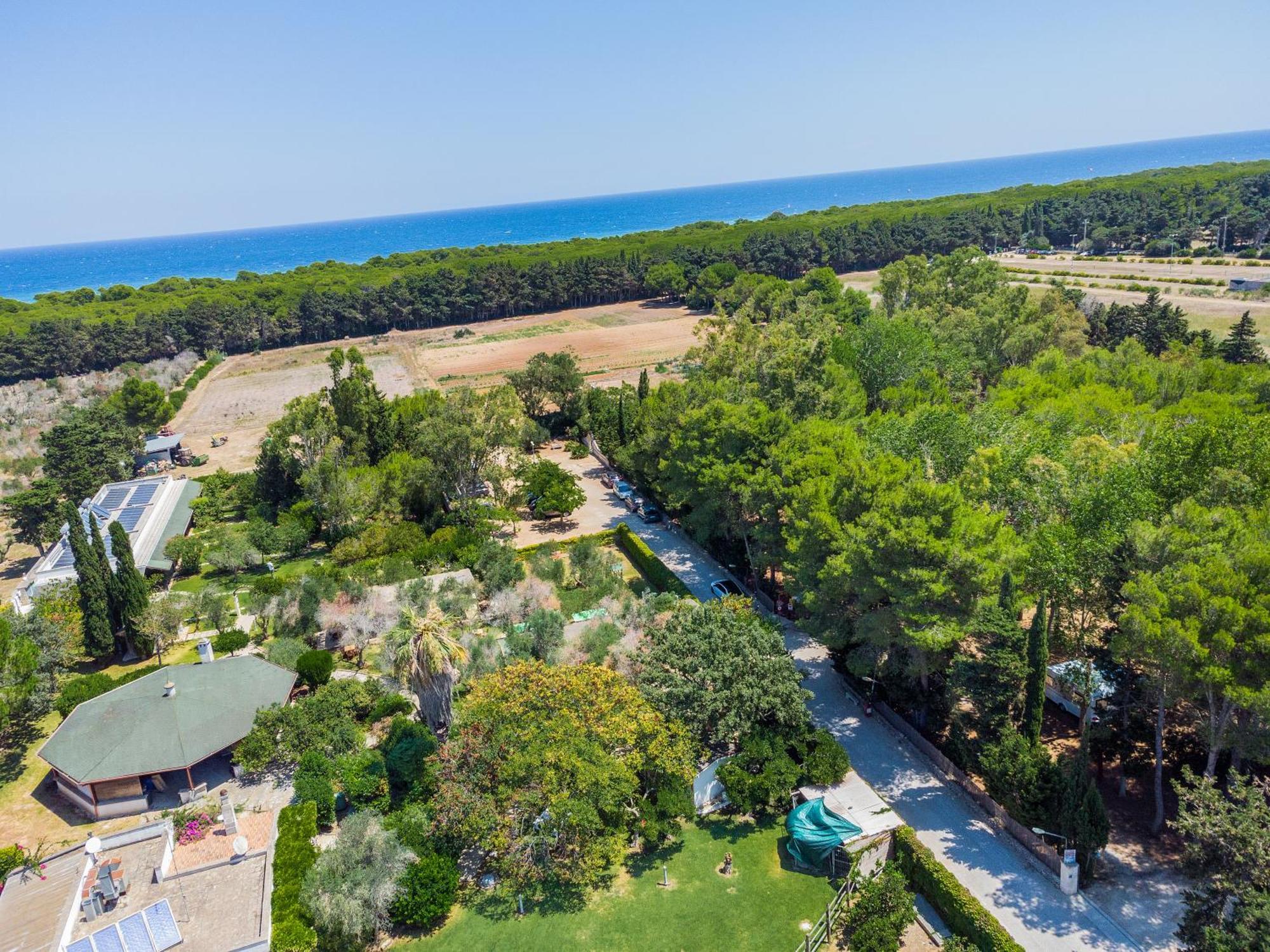 אלימיני Bio Agriturismo Salos מראה חיצוני תמונה