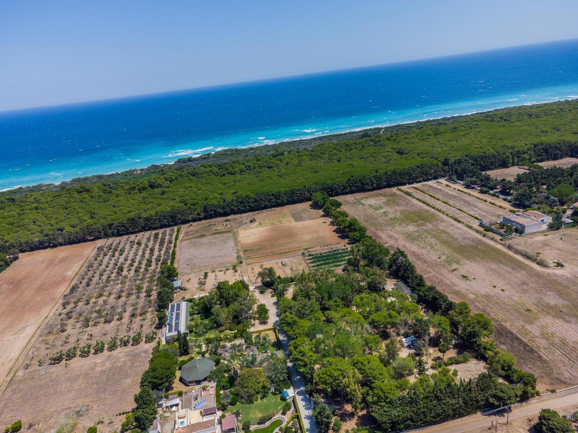 אלימיני Bio Agriturismo Salos מראה חיצוני תמונה